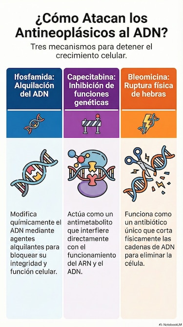 Pacientes con cáncer sufren escasez de fármacos; ION implementa plan de acción