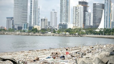 Seis empresas interesadas en estudio de playas