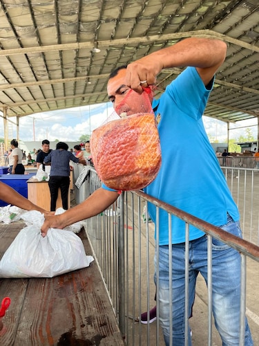Retrasos en naviferia del IMA en Capira: proveedor de jamón llega tarde