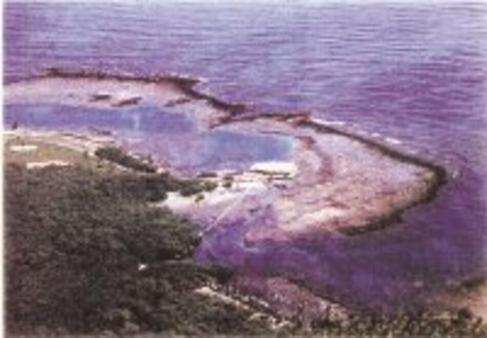 Cuando el petróleo se disipa