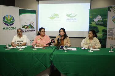 Secuestro a organizaciones ambientalistas reabre debate sobre acoso judicial