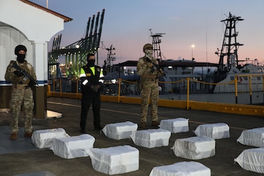 Senan decomisa $926 millones en drogas en lo que va del año, puertos principal blanco de narcos