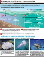 La acidez hace convulsionar los océanos