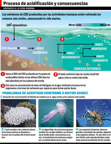 La acidez hace convulsionar los océanos