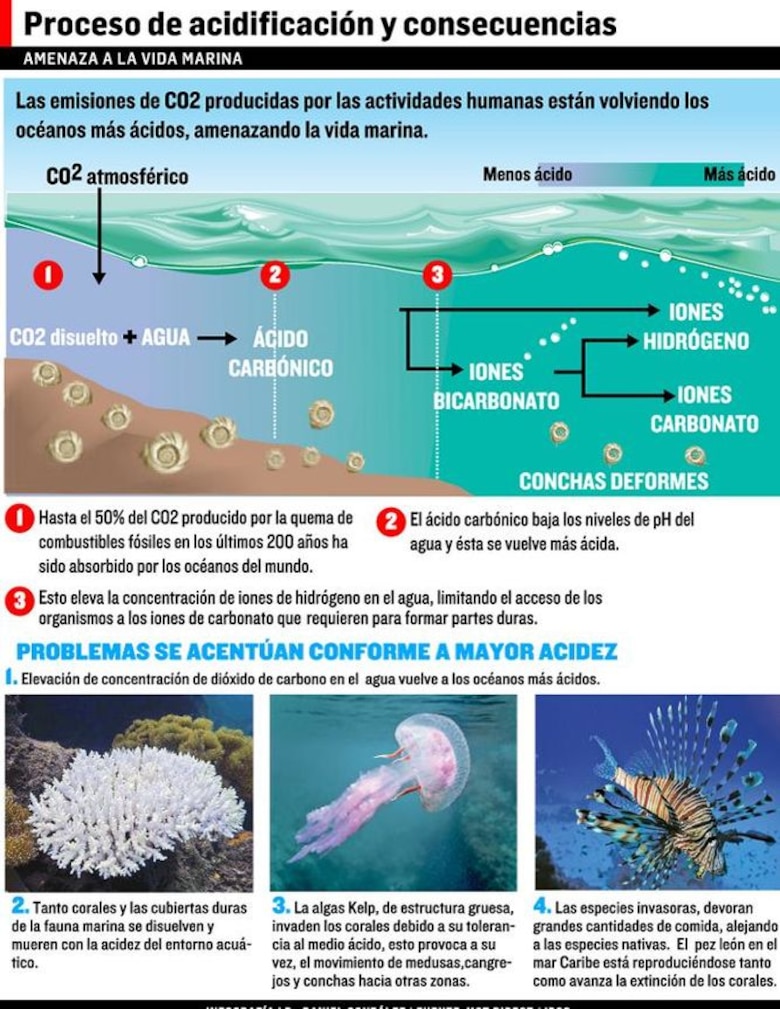 La acidez hace convulsionar los océanos