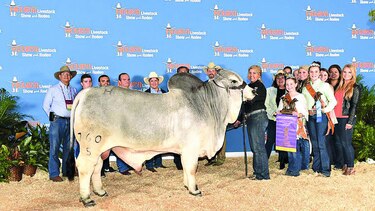 Cricepa participó en Feria de Houston, Texas