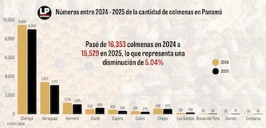 15,529 colmenas generan récord de miel en 2025