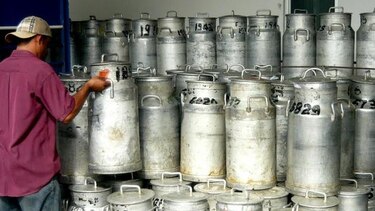 Producción lechera en Azuero cae un 50%