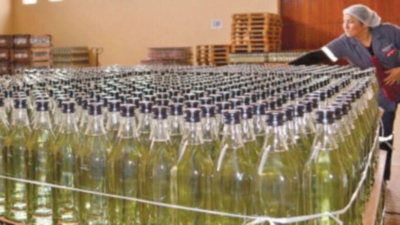 Los vinos de altura de Bolivia están a la conquista del mercado mundial