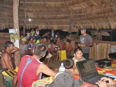 Cuarentena no detiene la lucha por el jaguar