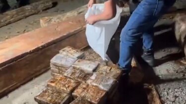 Hallan 220 paquetes de droga ocultos en troncos de madera en operativo en Chepo