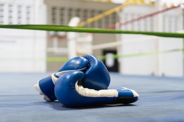 El boxeo panameño y sus nuevos desafíos