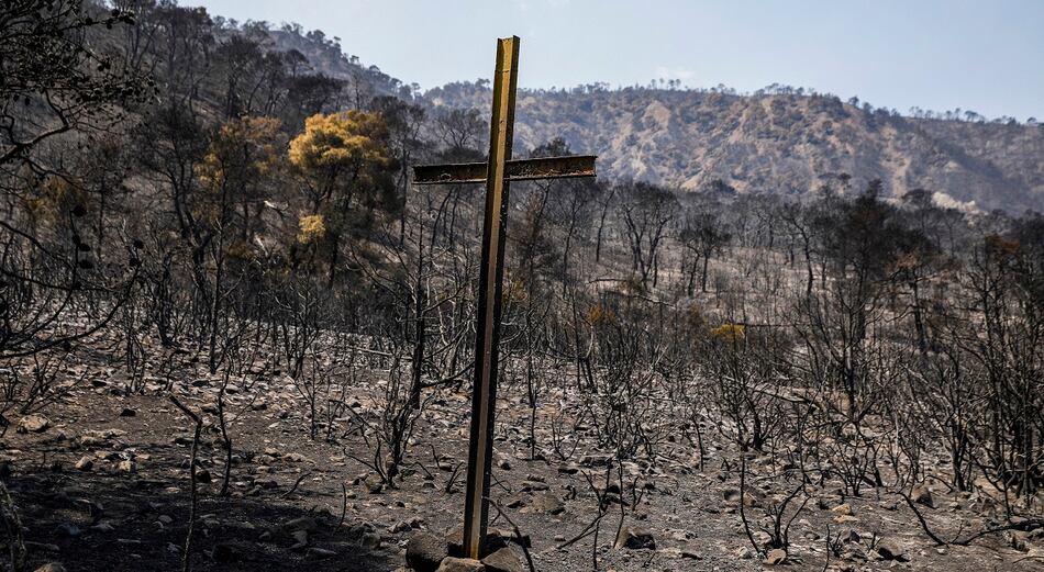 Grecia lucha contra incendio forestal, una ‘catástrofe ecológica’, según expertos