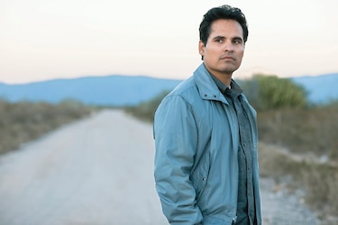 Un 2020 lleno de series