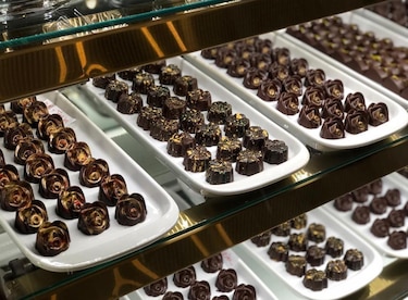 Promueven la producción de chocolate panameño