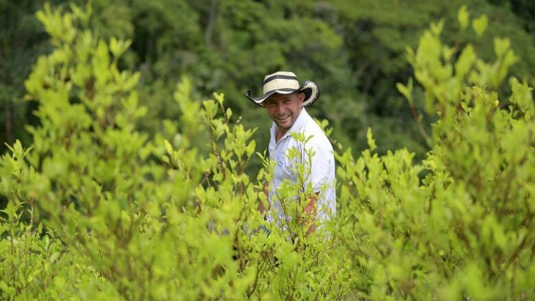 La carrera tecnológica de los narcos en Colombia para que el negocio de la cocaína sea más rentable