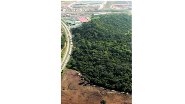 Nueva devastación en el Canal