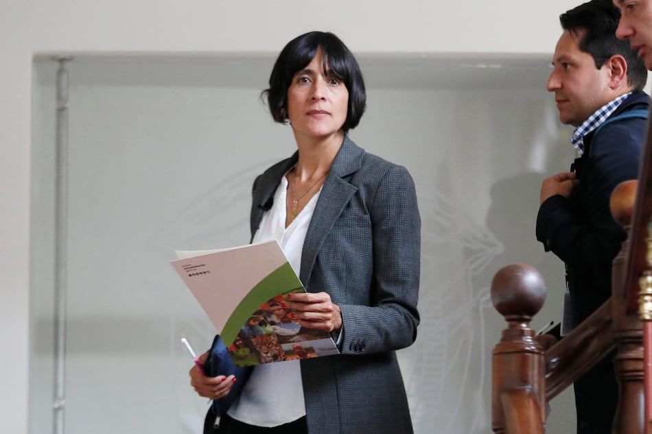 Colombia creará dirección de inteligencia contra delitos ambientales