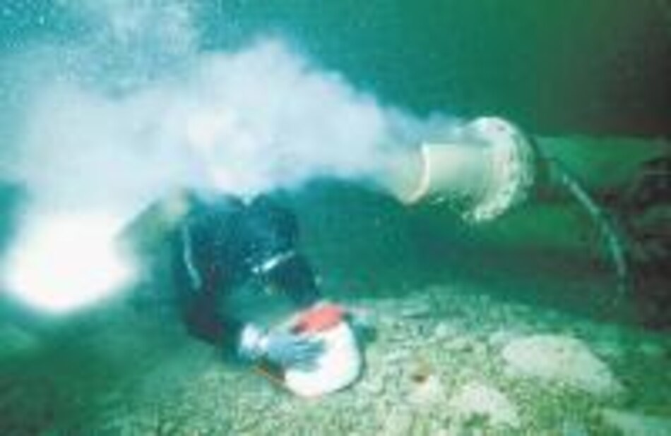 Resolución ecológica de año nuevo