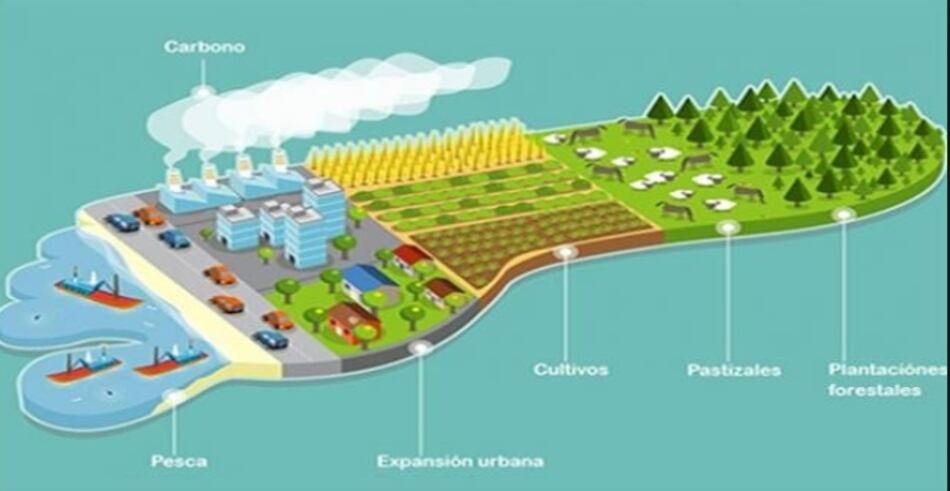 La humanidad ya agotó los recursos del planeta para este año