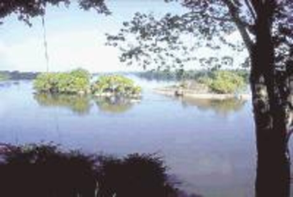 La Cuenca del Caura aún está a salvo