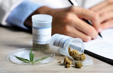 Israel da luz verde definitiva a exportación de marihuana para uso médico