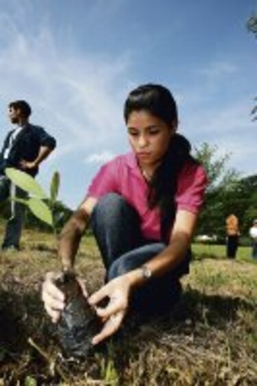 Sembrando conciencia verde