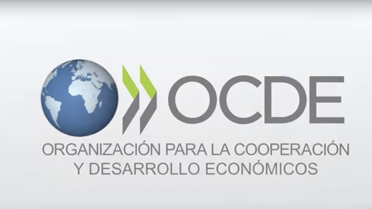 Panamá y la OCDE: más allá de las listas, una oportunidad de país