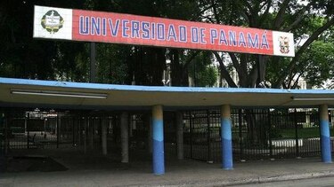 Universitarios realizan vigilia en defensa de los gatos que viven en campus de la UP
