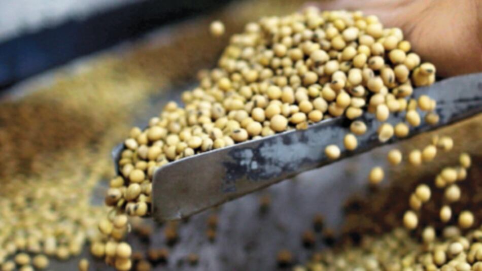 Política de Trump molesta al sector agrícola