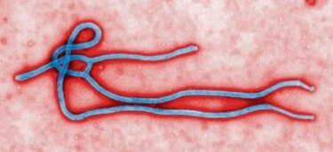 9 mitos sobre el ébola