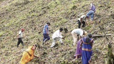 Cambio climático, ¿muerte del agro?