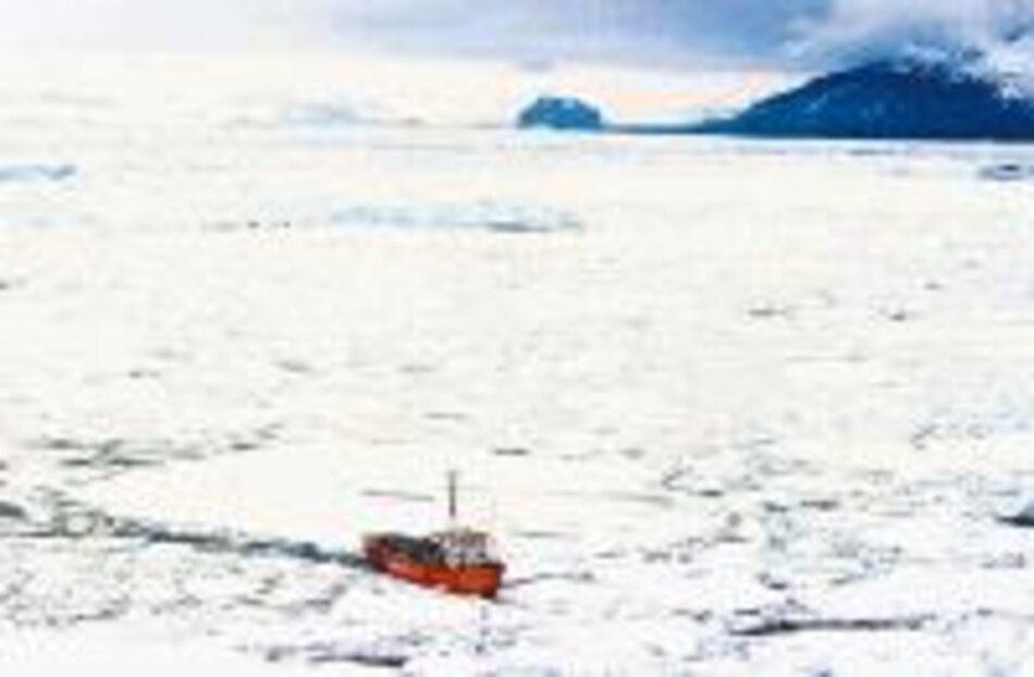 Icebergs, peligro en el mar
