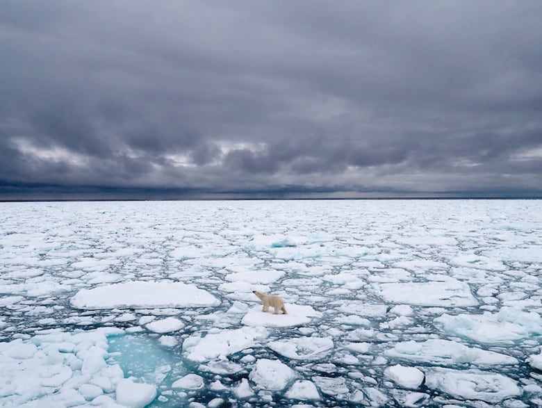 Una desafiante misión al Polo Norte