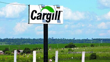 Cargill no comprará aceite de palma