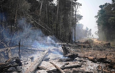 Bolsonaro alista tropas para combatir los incendios en la Amazonía