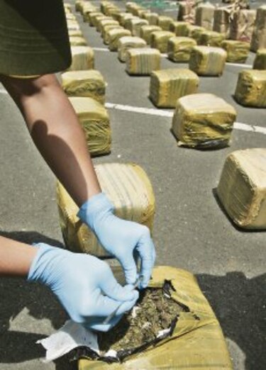 Despenalizan consumo de marihuana en Argentina
