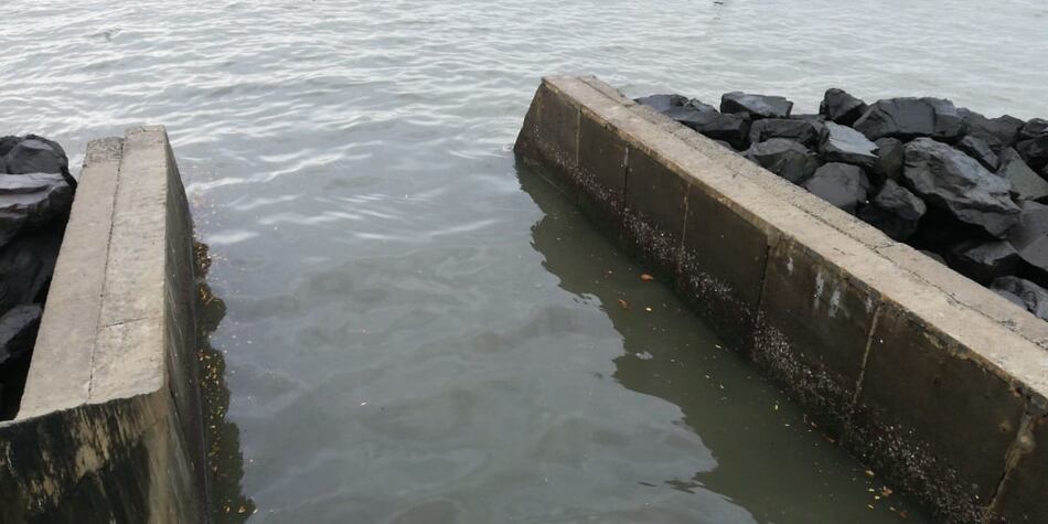 AMP inspecciona área en donde se detectó mancha en el océano