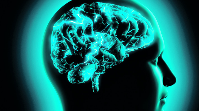 Contaminación afecta el cerebro