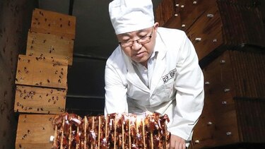 Las cucarachas que ‘trabajan’ comiendo basura
