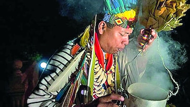 La ayahuasca, bebida psicodélica
