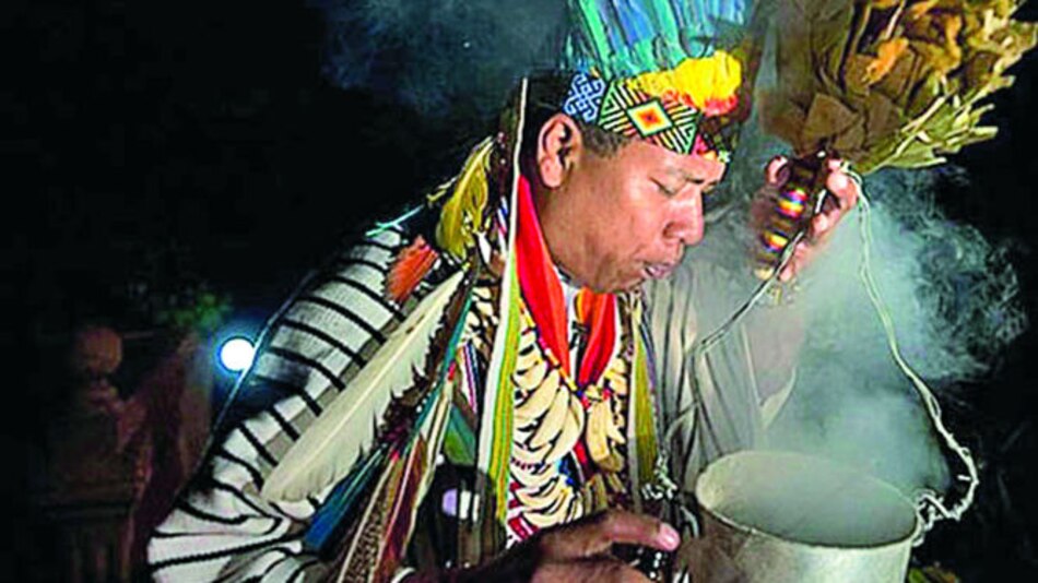 La ayahuasca, bebida psicodélica