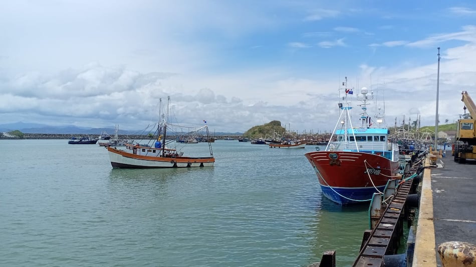 Clausura oficial de la veda del camarón marca el inicio de la temporada de pesca en Panamá