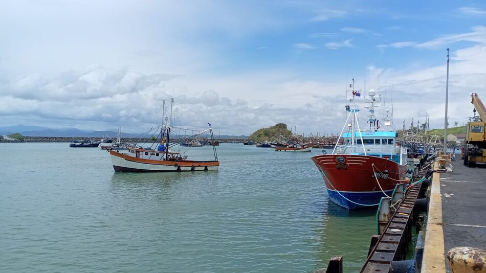 Clausura oficial de la veda del camarón marca el inicio de la temporada de pesca en Panamá