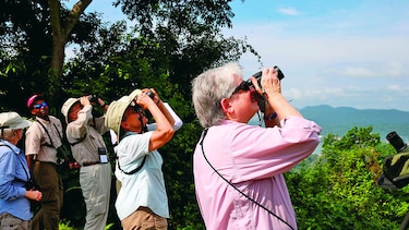 ¡Vienen las rapaces!