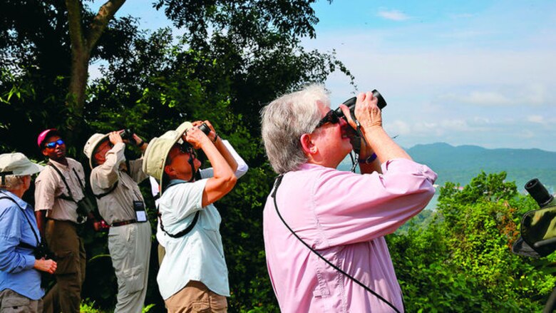 ¡Vienen las rapaces!