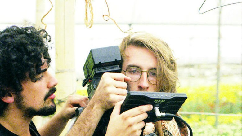 Animal, una manada creativa