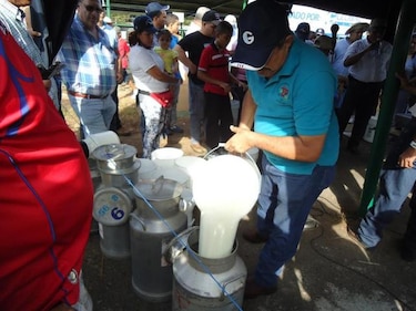 Nestlé informa que retomará la compra de leche a los pequeños productores panameños