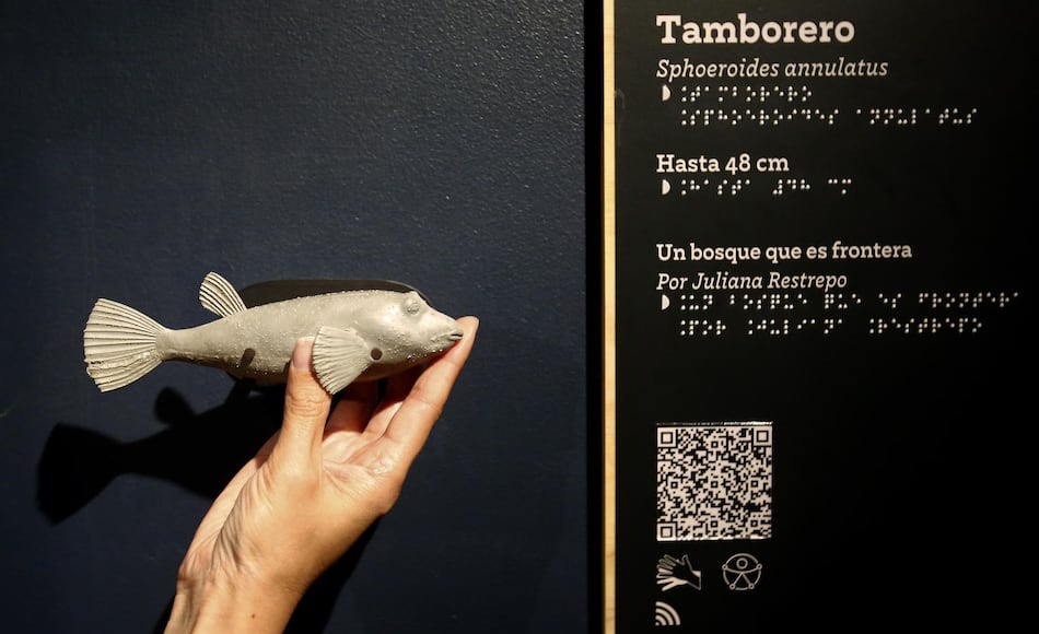 Acuario en Medellín sumerge a personas invidentes y sordas en una experiencia accesible