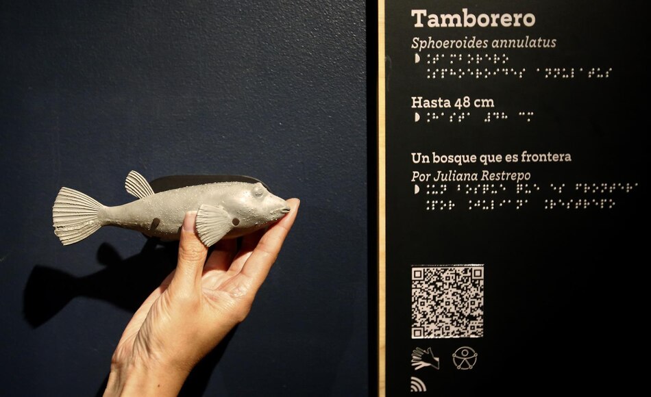 Acuario en Medellín sumerge a personas invidentes y sordas en una experiencia accesible